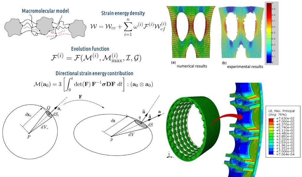 Theory and identification of a constitutive model of induced anisotropy by the Mullins effect (stress-softening)